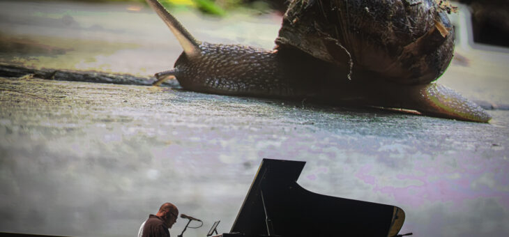 Jules Maxwell Solo, ICE Congress Centre, Kraków 5.02.2025