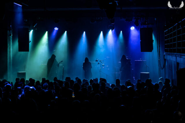 Five The Hierophant 2026-19