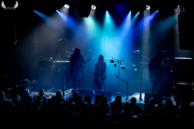 Five The Hierophant 2026-21