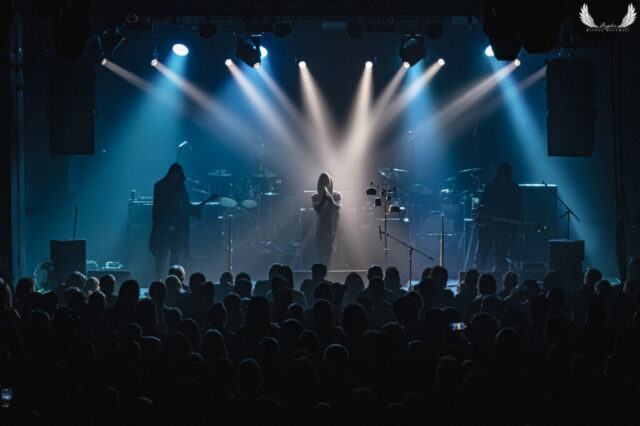 Five The Hierophant 2026-24