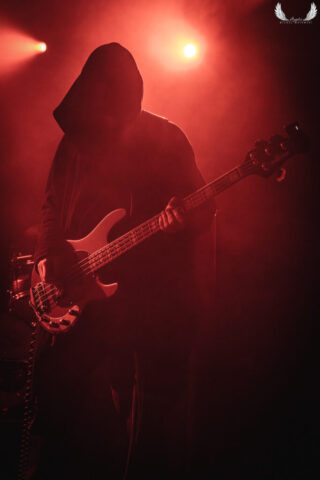 Five The Hierophant 2026-5