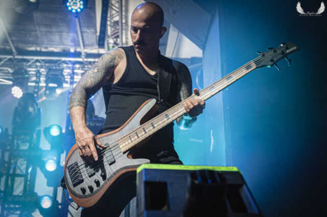 Trivium 2026-4
